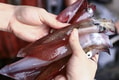 Feature Image Blog